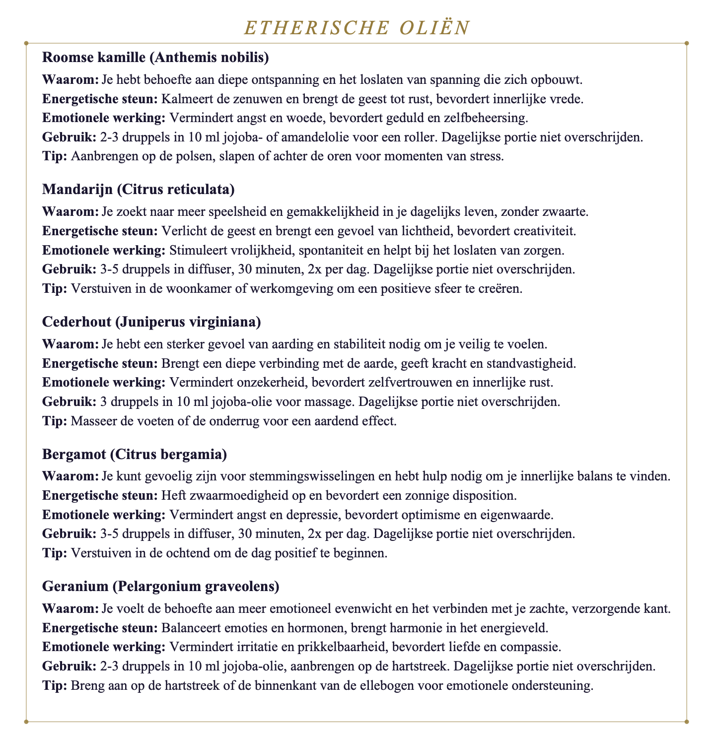 Voorbeeldpagina uit het rapport — Etherische oliën op maat